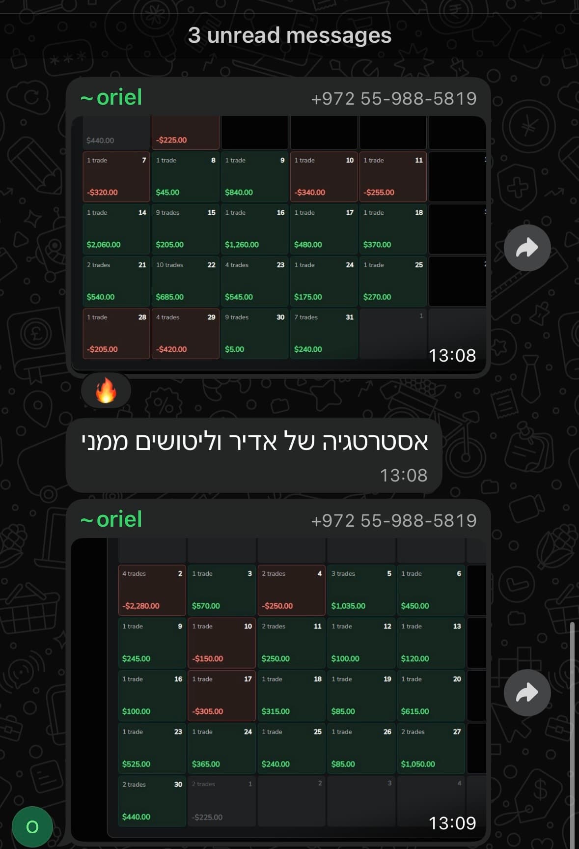 ביקורת תלמיד 8